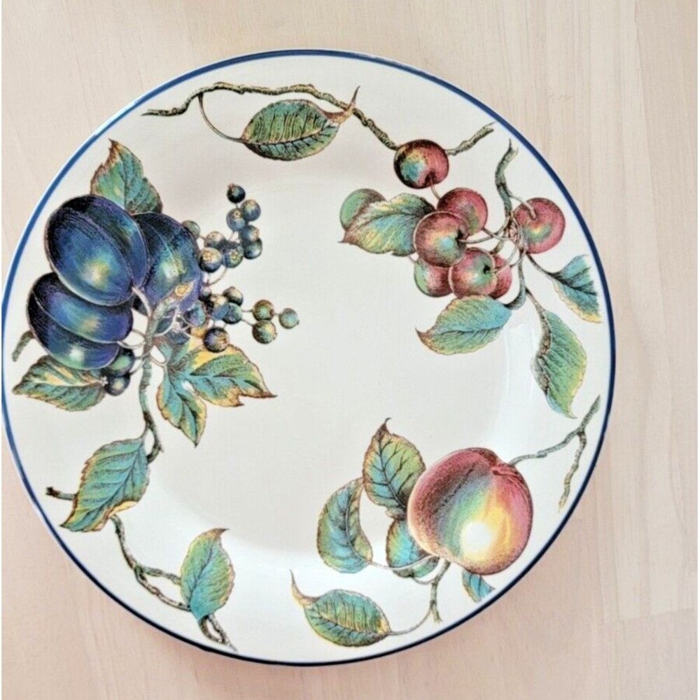Pier 1 China Macintosh Pattern Angleterre England Dinner Plates 10.25" Set of 4